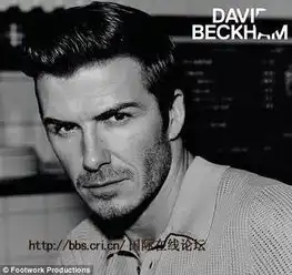 求贝克汉姆黑白qq头像