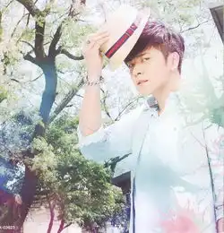 求罗志祥高清大图,适合12寸拼图的