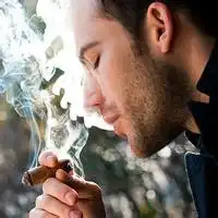 无视频直播全集无资料大全yy官方
