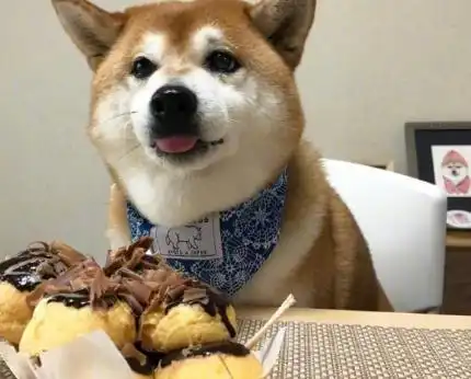 这大概就是吃饭时的样子吧