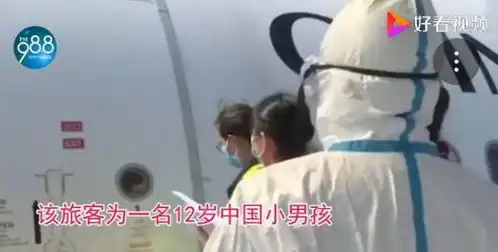 12岁男孩独自乘机回国,20小时水米未进医生发现时已有异常