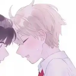 套图头像背景图