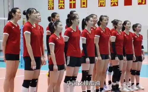 探营女排备战奥运会,来看袁心玥朱婷刁琳宇和王媛媛说了啥