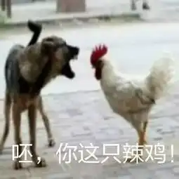 为什么你长得这么好看还单身