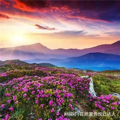 如何理解论语中君子之交淡若水,小人之交甘若醴这句话