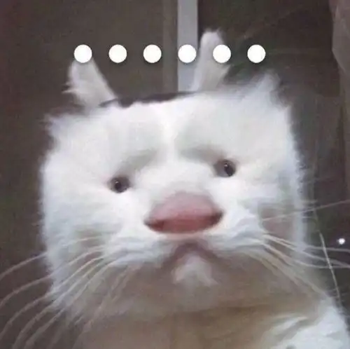 为什么女玩家容易一次次遭遇恋爱滑铁卢春节期间她的遭遇是缩影