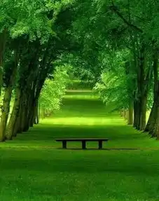 愿时光静好,愿友情不老